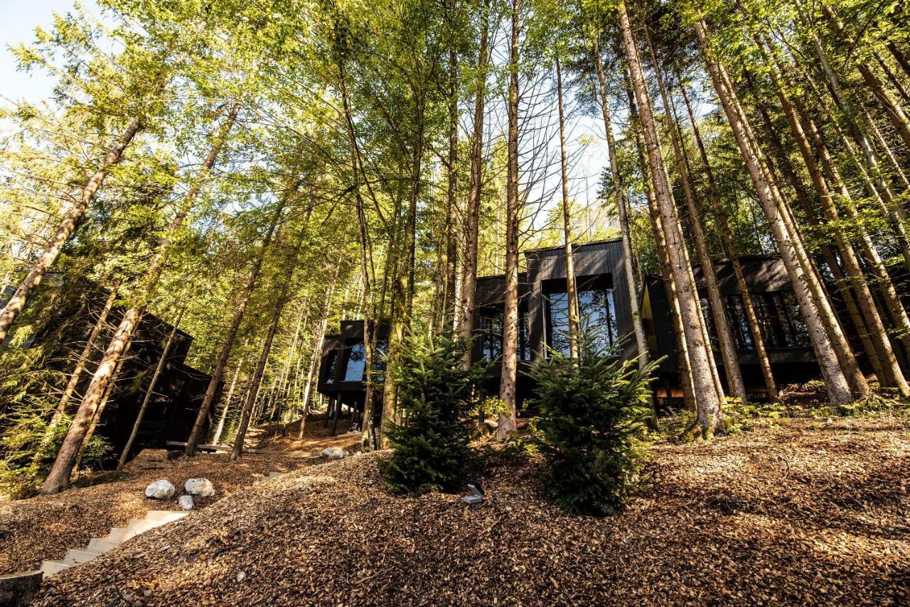 Hotel Fischerwirt Natur Waldspa Faistenau Exterior photo